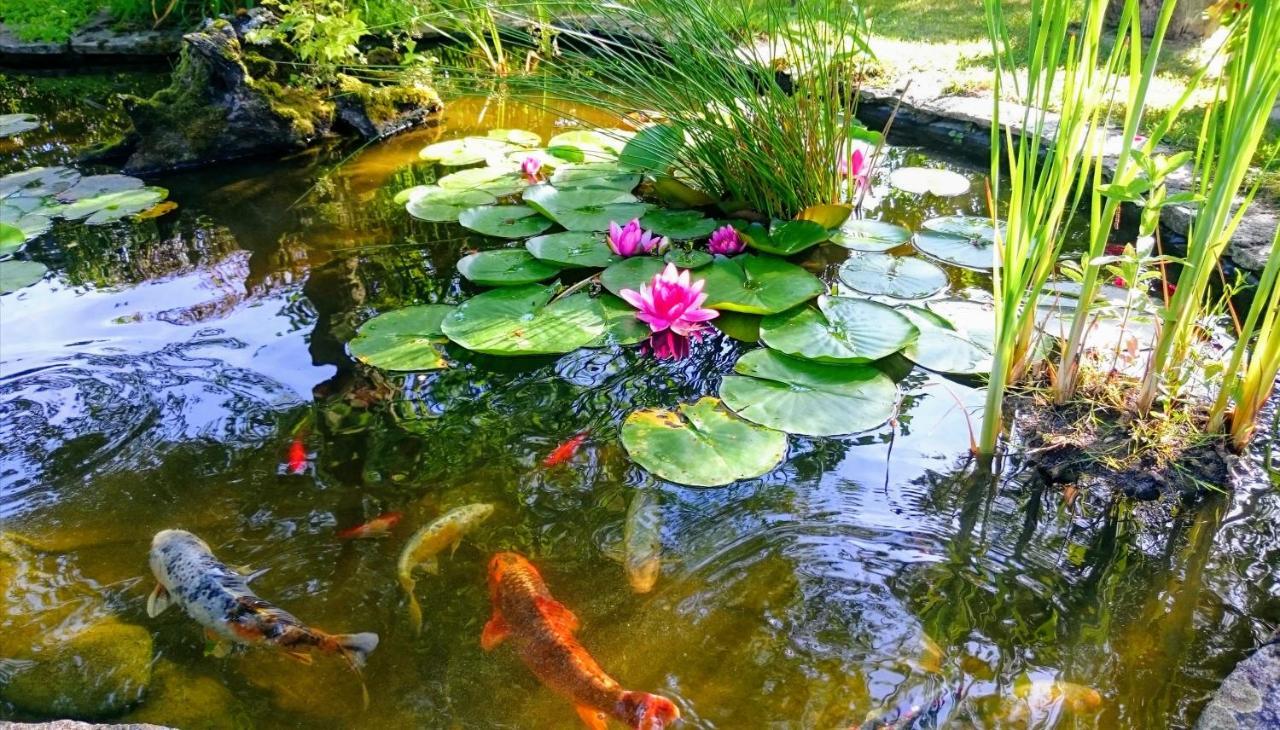 Gite Pause Au Jardin Piscine Chauffee Saint-Branchs المظهر الخارجي الصورة